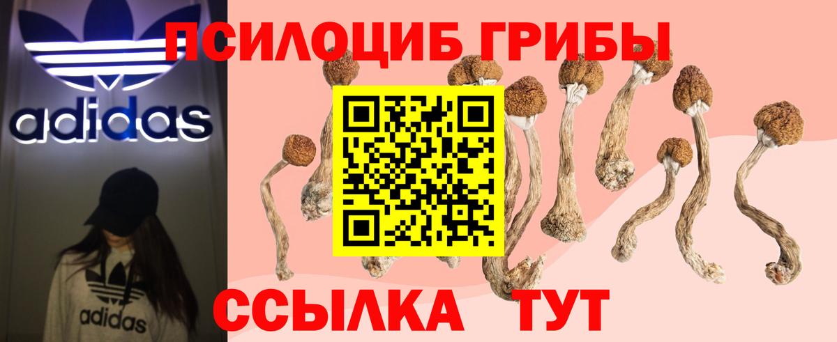 Псилоцибиновые грибы ЛСД Вятские Поляны